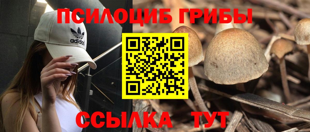 Псилоцибиновые грибы прущие грибы  наркота  Орёл  Вход с VPN 