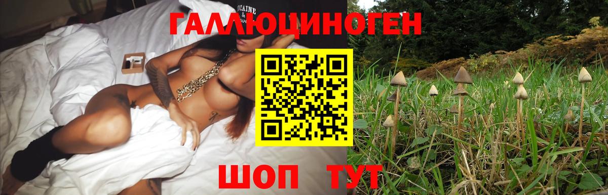 Галлюциногенные грибы MAGIC MUSHROOMS Орёл